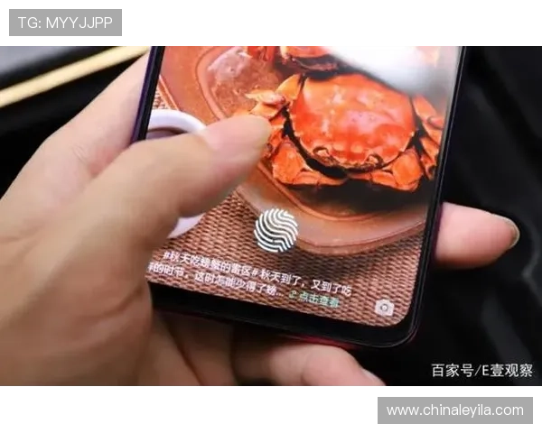 壹号下载地址用户评价与使用体验分享