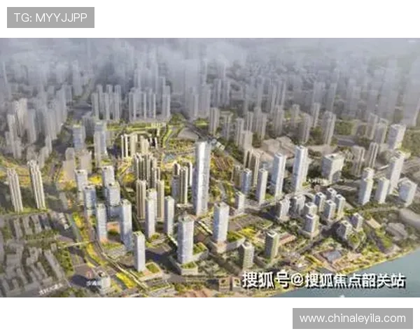 壹号官网链接如何快速找到官方入口及使用技巧