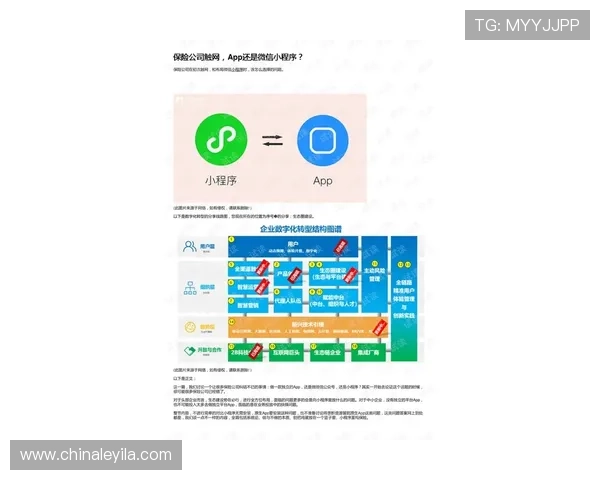 壹号app在南宫集团中的最新应用介绍与使用指南