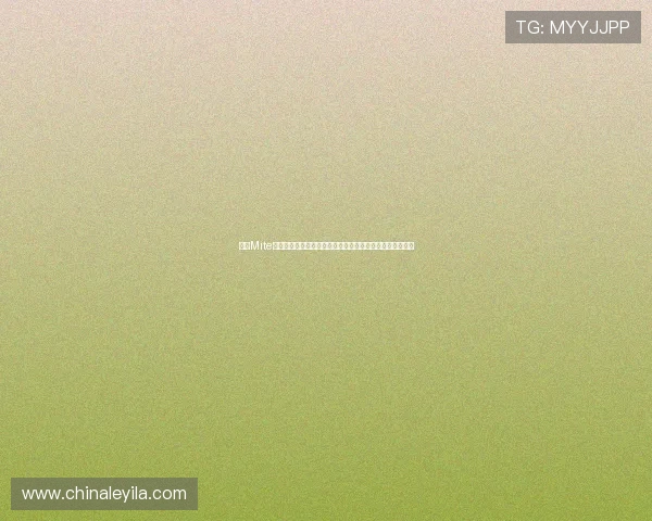利用Mite娱乐版下载安装实现世界杯直播观看与赛事信息一站式获取
